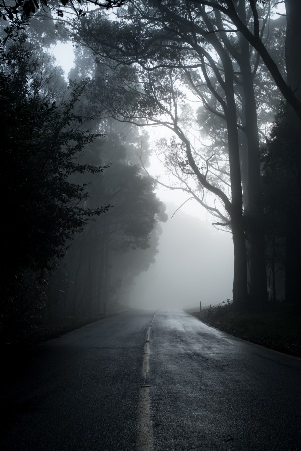 Image Horrorfilms en de weg naar diversiteit en representatie